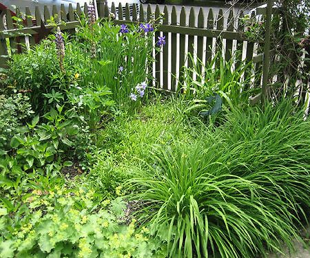 Korner Kottage Bed And Breakfast Traverse City Bagian luar foto
